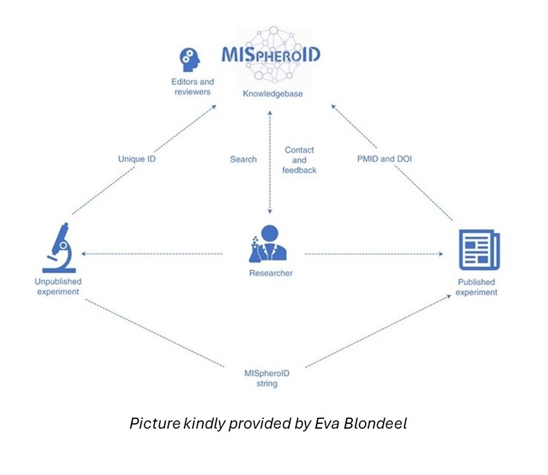 MISpheroID: a knowledgebase and transparency tool for minimum information in spheroid identity