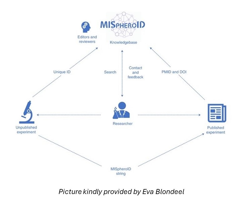 MISpheroID: a knowledgebase and transparency tool for minimum information in spheroid identity MISpheroID: a knowledgebase and transparency tool for minimum information in spheroid identity