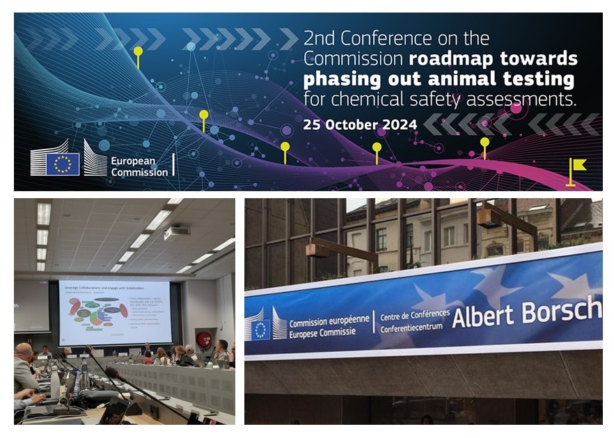 Second Workshop on the Roadmap for phasing out animal testing in chemical safety assessments Second Workshop on the Roadmap for phasing out animal testing in chemical safety assessments