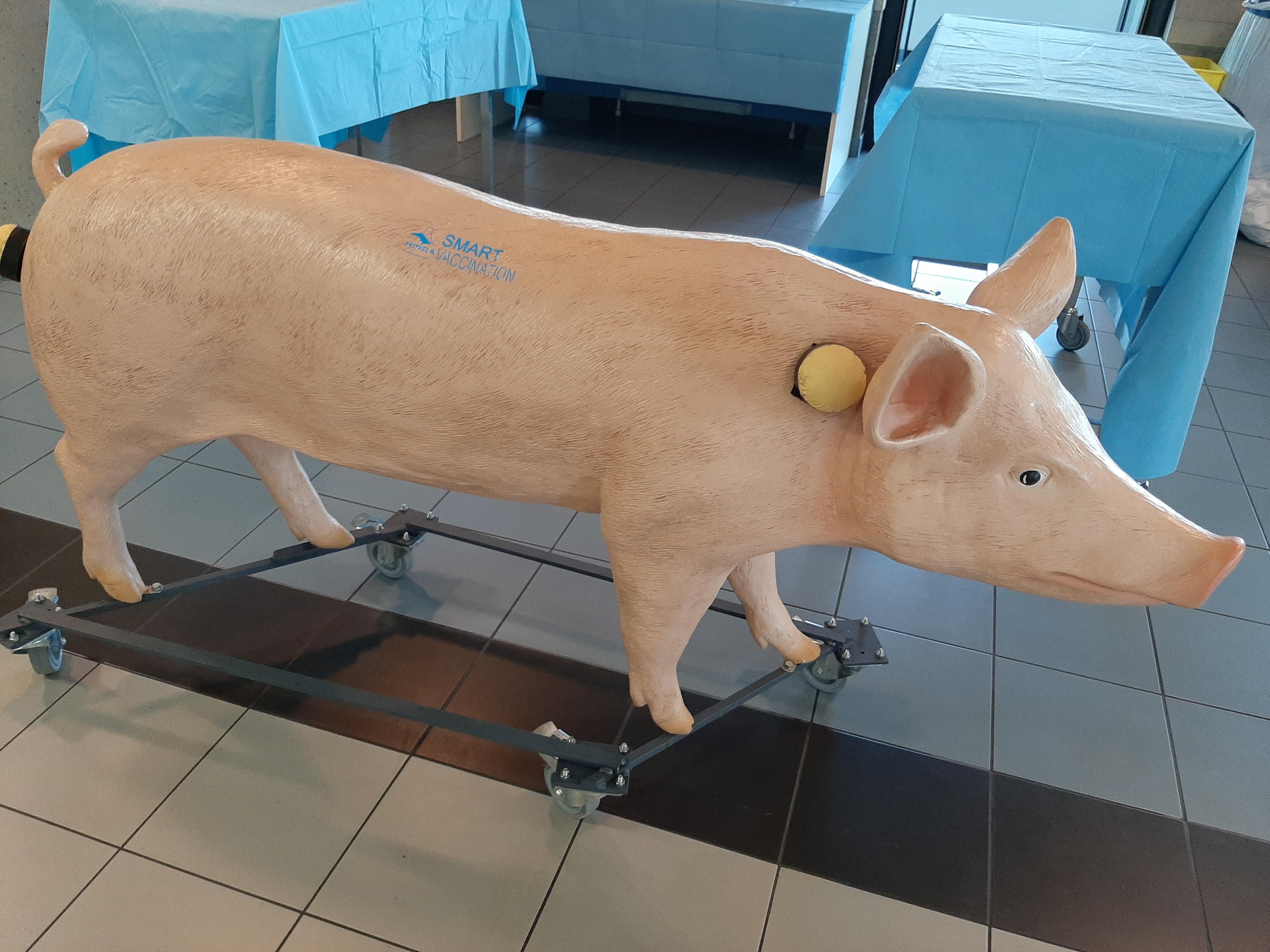 Animal dummy models and simulators for training of injection techniques and  intravenous catheterisation procedures | RE-Place